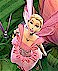 Barbie Fairytopia picture